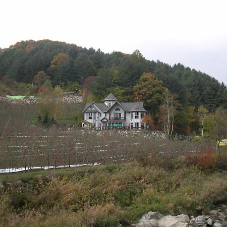 Happy Dream Pension Pyeongchang Dış mekan fotoğraf