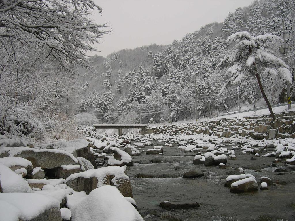 Happy Dream Pension Pyeongchang Dış mekan fotoğraf